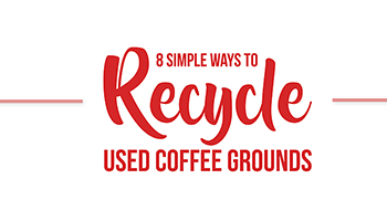 Recycle Coffee Infographic